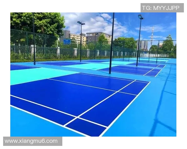 球场中心的梦想舞台：打造未来体育与娱乐融合的新地标